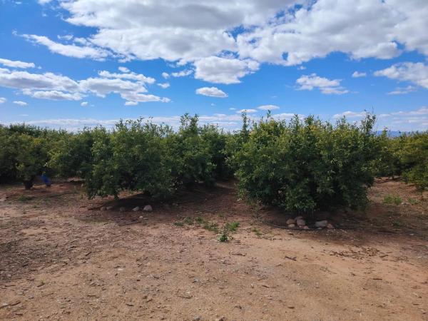 Terreno en Urbanizaciones