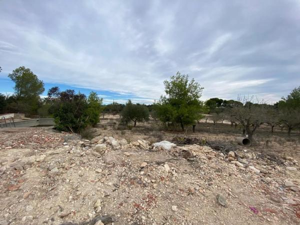 Terreno en plaza Poligono N-22.R, 22