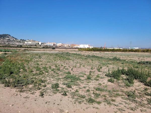 Terreno en Casco Antiguo