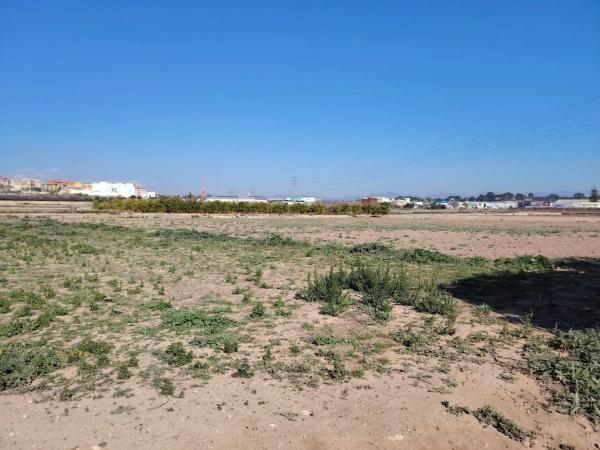 Terreno en Casco Antiguo