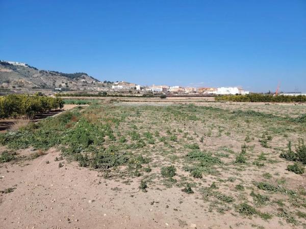 Terreno en Casco Antiguo
