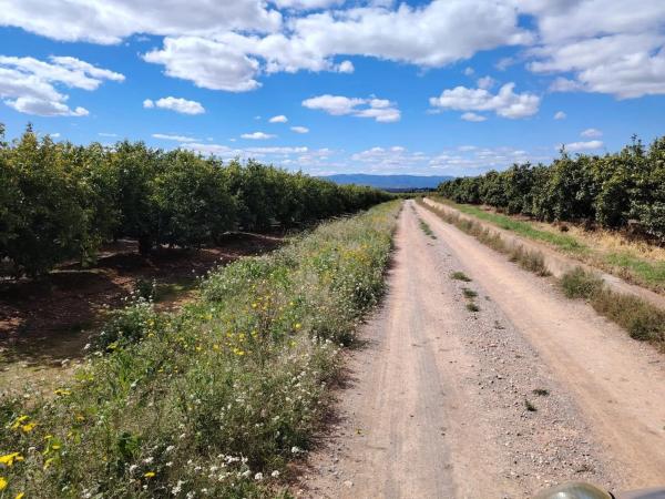 Terreno en Parque de la Bombilla-Pla de Rascanya