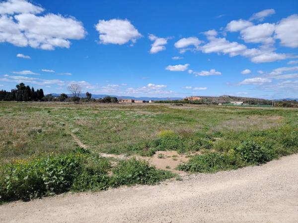 Terreno en Parque de la Bombilla-Pla de Rascanya