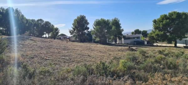 Terreno en calle Turia