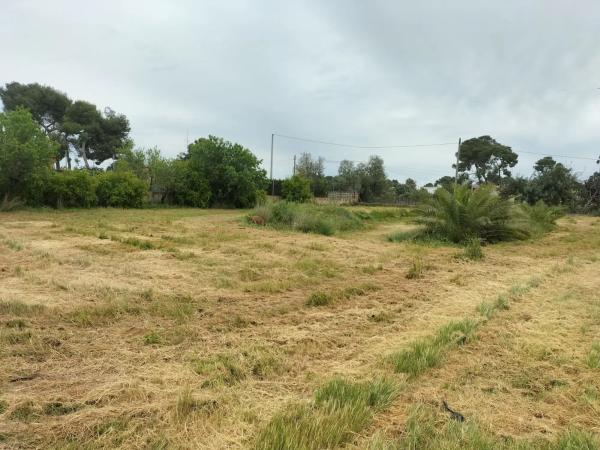 Terreno en calle Rosella, 3