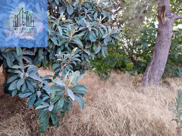 Terreno en calle Trébol
