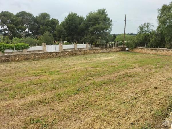 Terreno en calle Rosella, 3