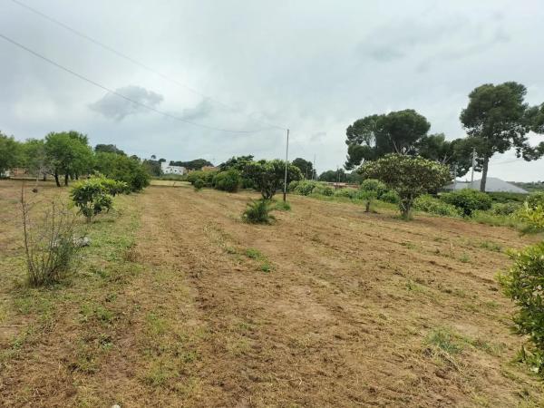 Terreno en calle Rosella, 3