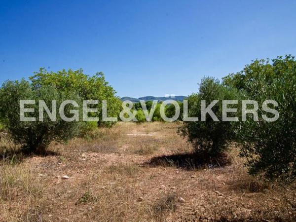 Terreno en Olocau