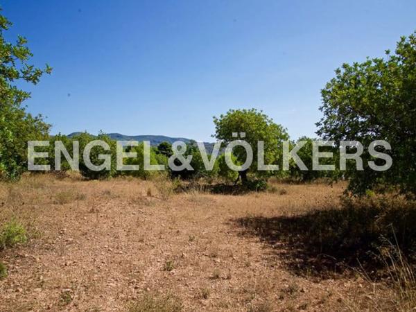 Terreno en Olocau