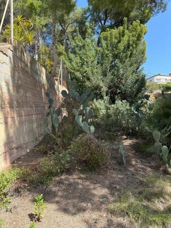 Terreno en calle font del salt s/n