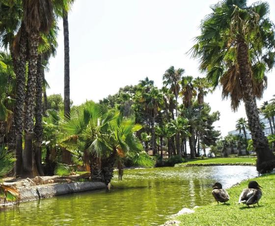 Terreno en Mas Camarena