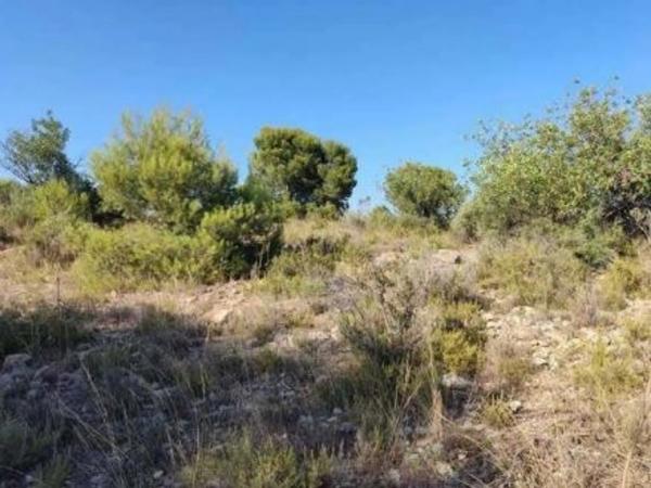 Terreno en via del Turia