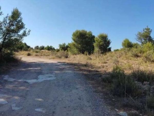 Terreno en via del Turia