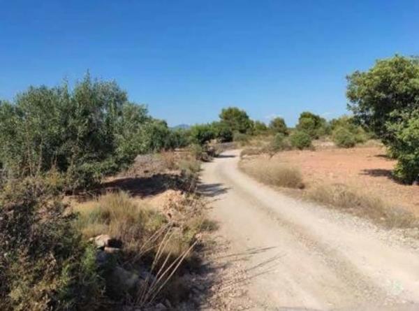 Terreno en via del Turia