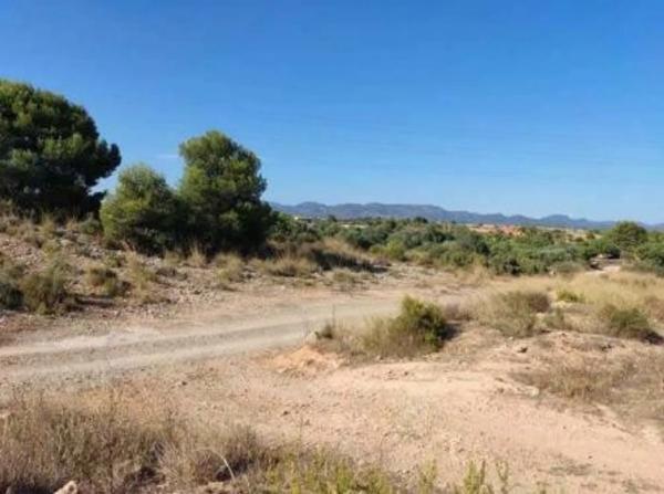 Terreno en via del Turia