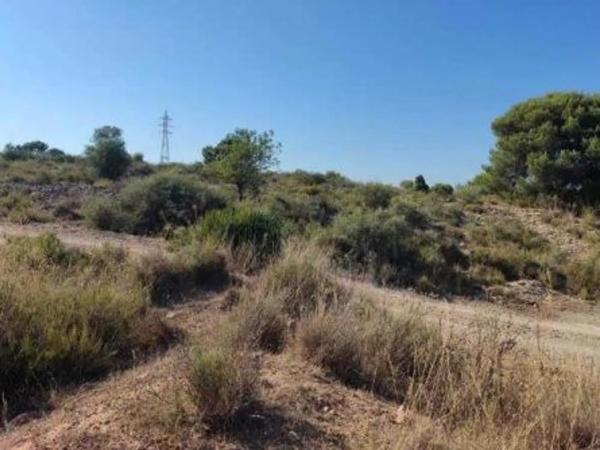 Terreno en via del Turia