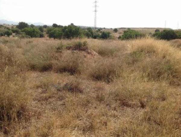 Terreno en via del Turia