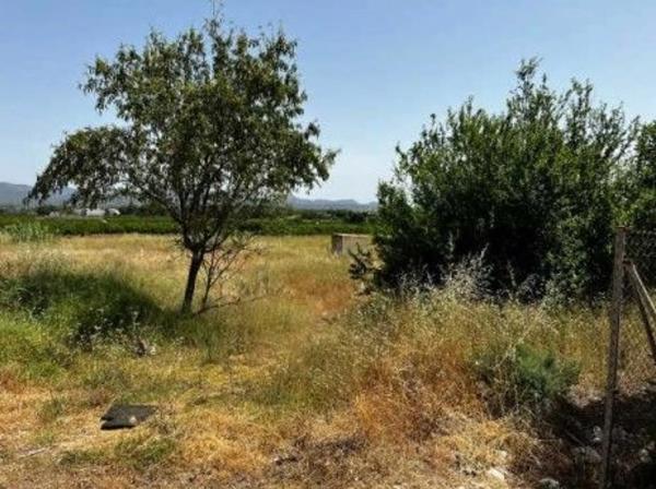 Terreno en calle la Plana Baixa