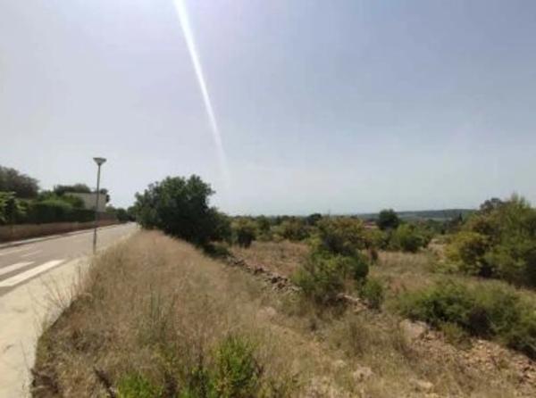 Terreno en calle Tristan