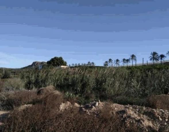 Terreno en calle Tentadero Paz