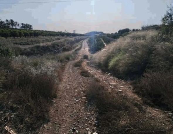Terreno en calle Tentadero Paz