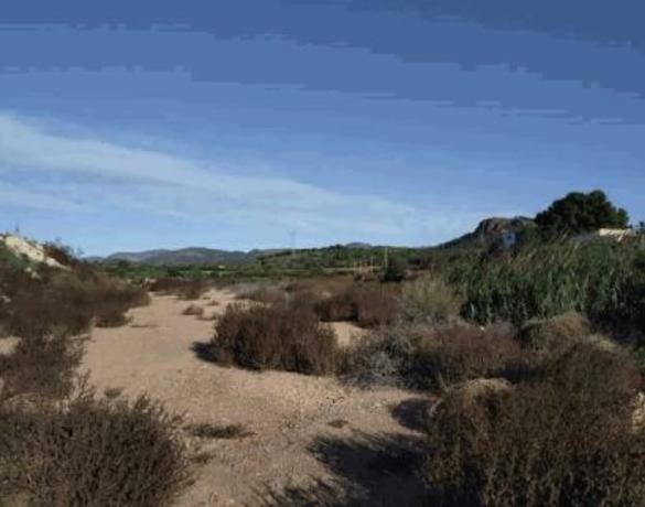 Terreno en calle Tentadero Paz