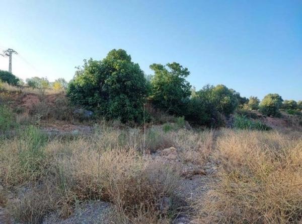 Terreno en Diseminado P165