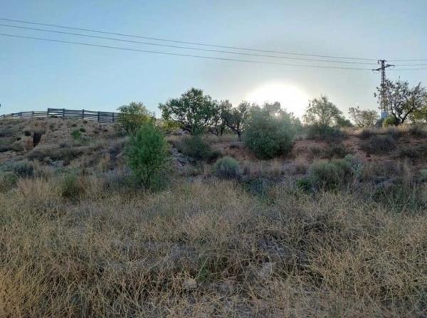 Terreno en Diseminado P165