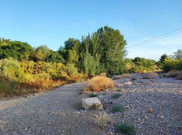 Terreno en Diseminado P165