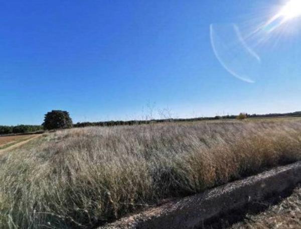 Terreno en plaza Poligono N-23.I, 324