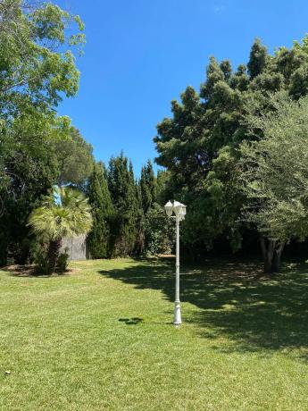 Terreno en calle Naranjo