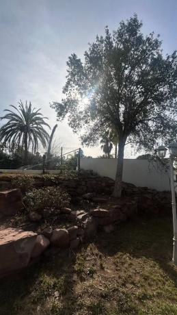 Terreno en calle Naranjo