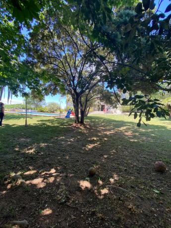 Terreno en calle Naranjo