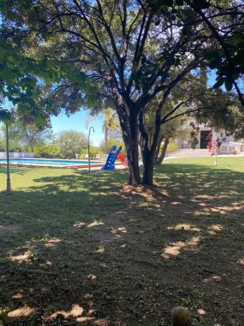 Terreno en calle Naranjo