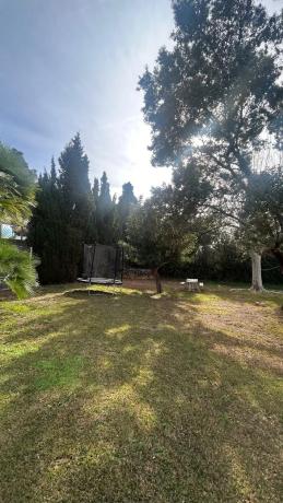 Terreno en calle Naranjo