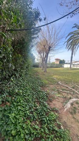 Terreno en calle Naranjo