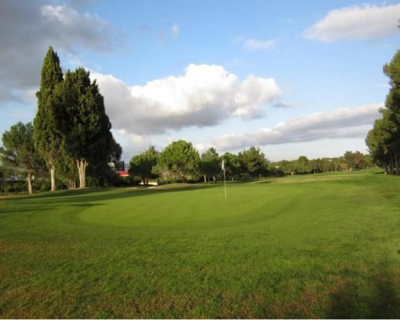 Terreno en Torre en Conill-Cumbres de San Antonio