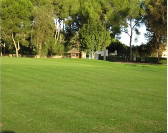 Terreno en Torre en Conill-Cumbres de San Antonio