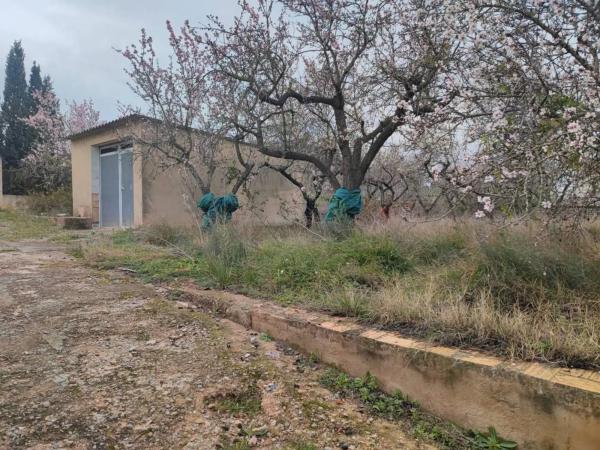 Terreno en plaza Poligono N-37.I, 4