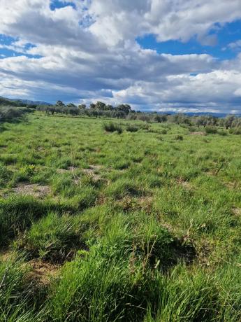 Terreno en plaza Diseminados, 232