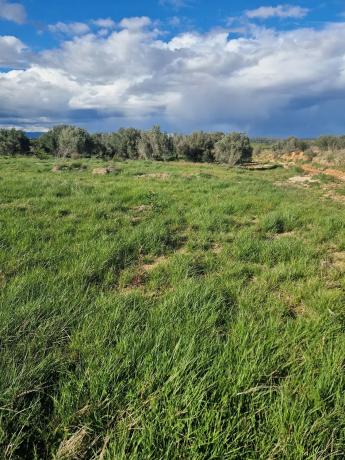 Terreno en plaza Diseminados, 232