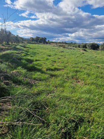 Terreno en plaza Diseminados, 232