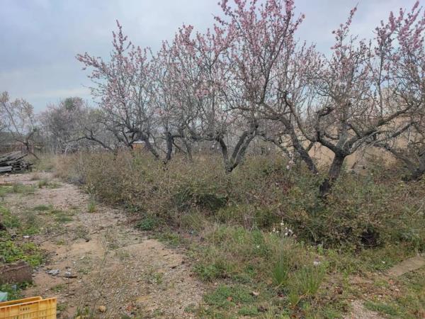 Terreno en plaza Poligono N-37.I, 4