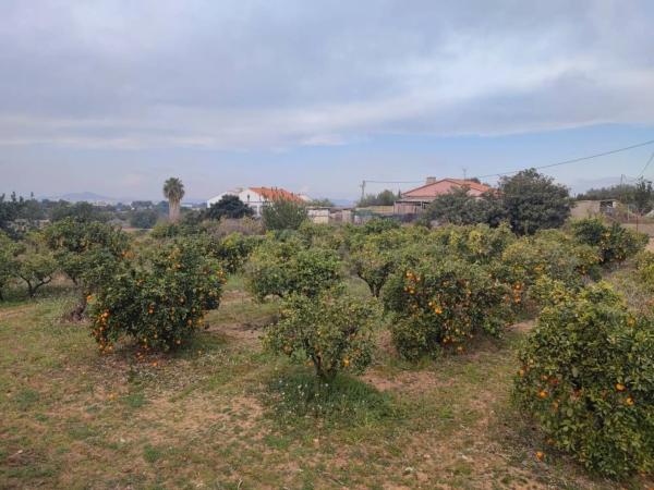 Terreno en plaza Poligono N-37.I, 4