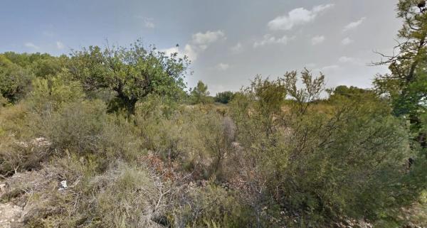 Terreno en plaza Diseminados, 237
