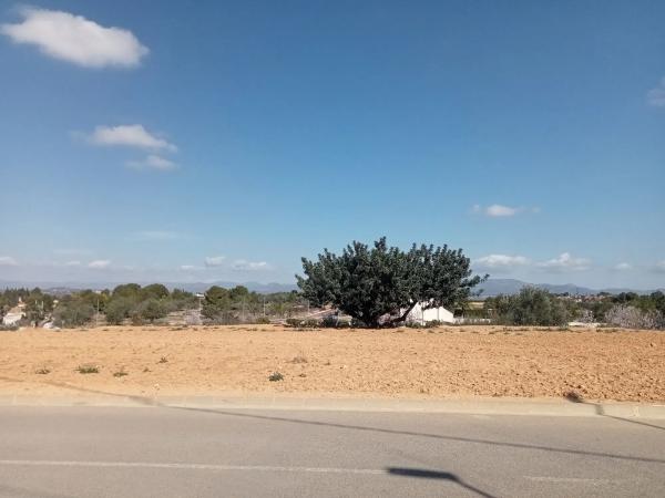 Terreno en calle r, 6