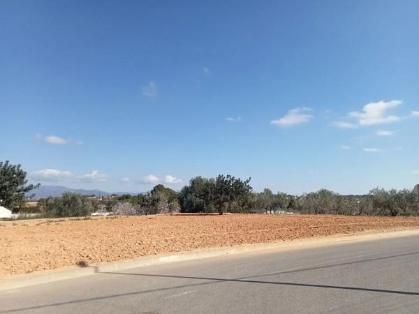 Terreno en calle r, 6