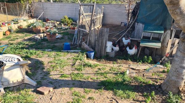 Terreno en Entrepinos