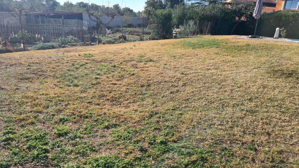 Terreno en Entrepinos